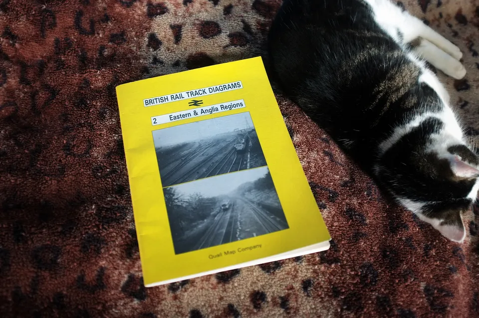 My cat, asleep next to a copy of "British Rail Track Diagrams" No 2, Eastern Region