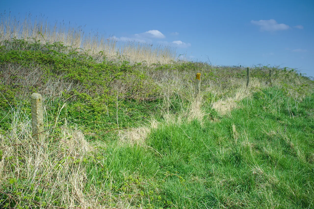 A line of old railway fence posts, sitting at the bottom of a former, somewhat-eroded embankment