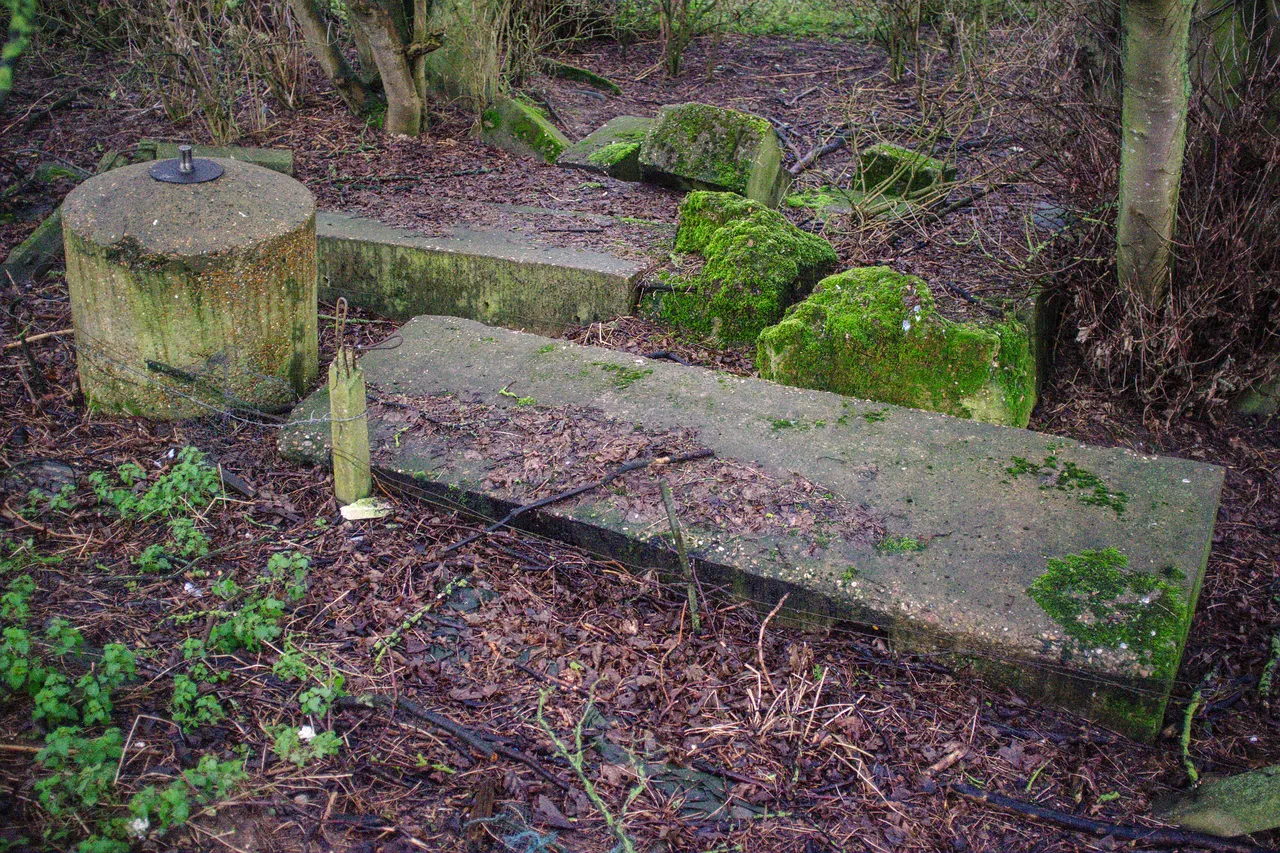 Remains of a World War II spigot mortar