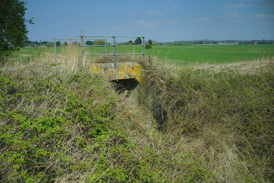 The "Secret" bridge, with much undergrowth surrounding it, somewhat obscuring it to the casual passer-by