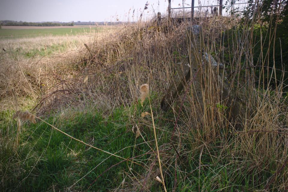 Another railway fence post, among some golden grassy undergrowth, with the Secret Bridge defocused in the background.