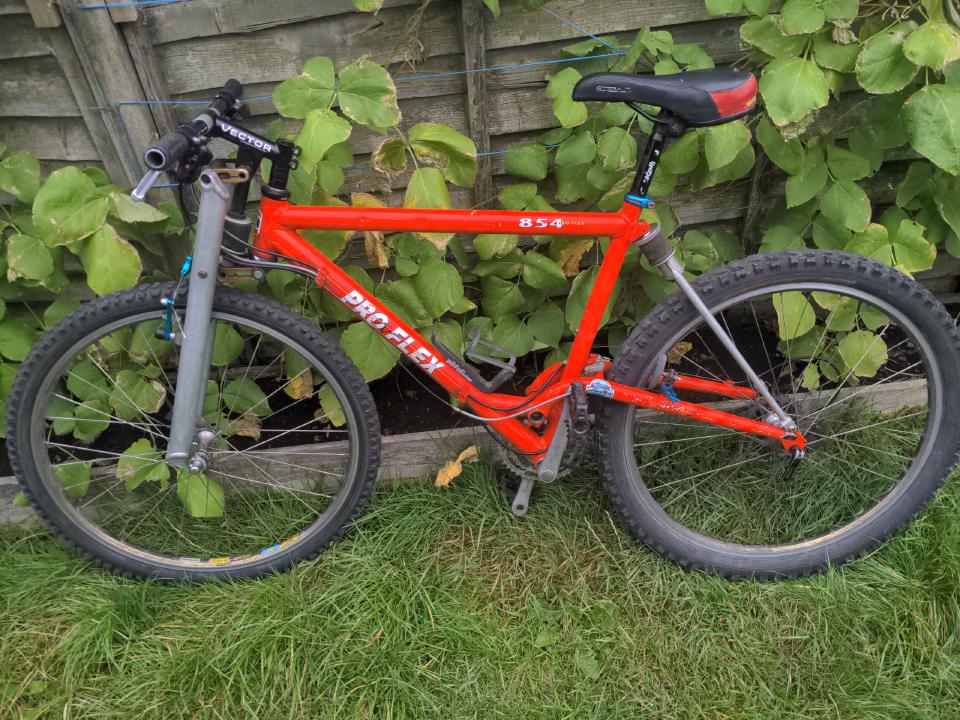 The bike viewed in the light against a green fence. It does not look much better.