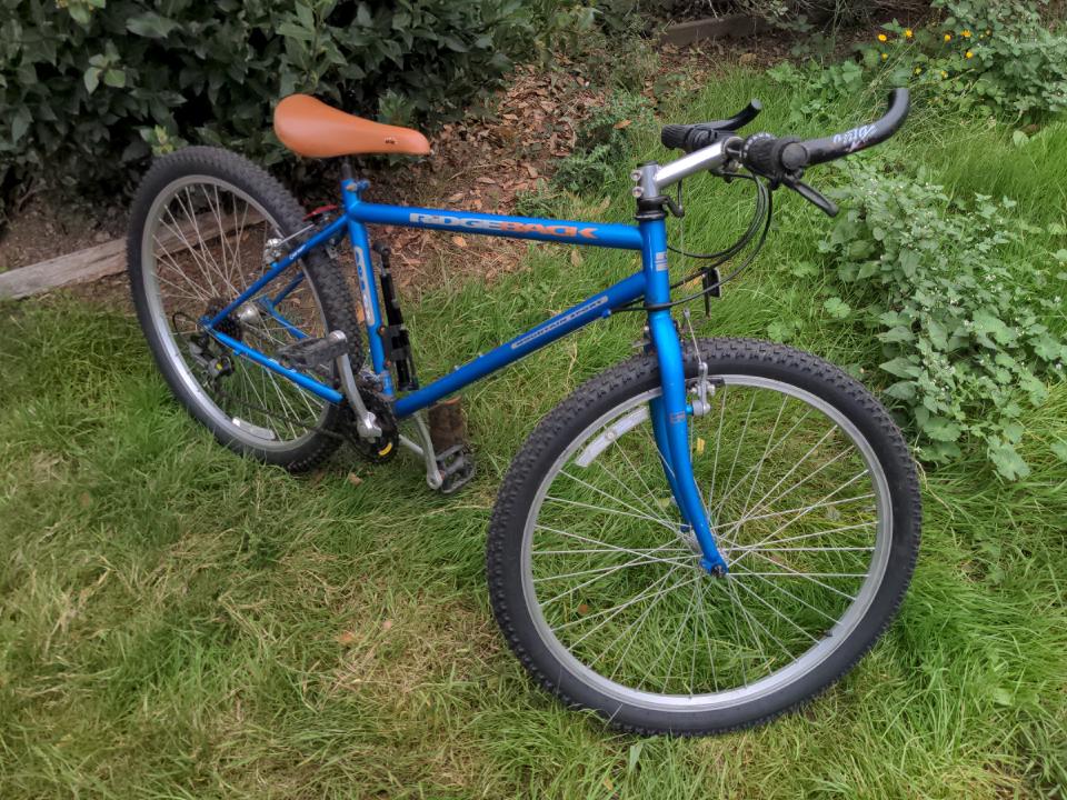 The Ridgeback 603, a cheap mountain bike from 1994 or 1995. It has a blue frame, mostly silver or black components, and some horrible modern tyres.